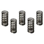 KIT MOLA DE EMBREAGEM STANDARD CRF 230