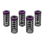 KIT MOLA DE EMBREAGEM RACING HARD CRF 250F/300F